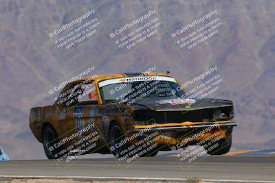 media/Oct-14-2023-Lucky Dog Racing (Sat) [[cef75db616]]/1st Stint Turn 9 Entry/